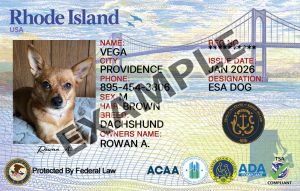 Rhode Island Dog Registration Card