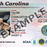 South Carolina Dog Registration Card