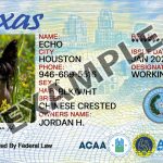 Texas Dog Registration Card