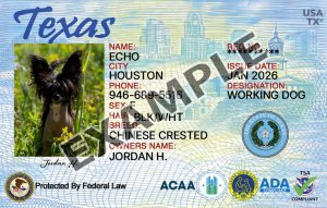 Texas Dog Registration Card