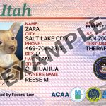 Utah Dog Registration Card