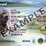 Vermont Dog Registration Card