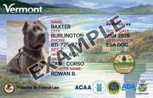 Vermont Dog Registration Card