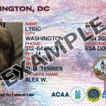 Washington DC Dog Registration Card
