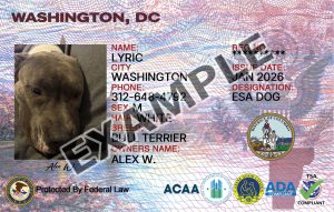 Washington DC Dog Registration Card