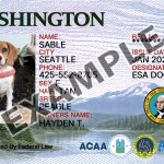 Washington State Dog Registration Card