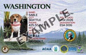Washington State Dog Registration Card