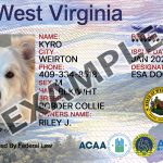 West Virginia Dog Registration Card