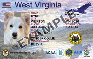West Virginia Dog Registration Card