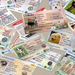 State Dog Registration Cards