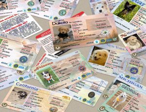 State Dog Registration Cards