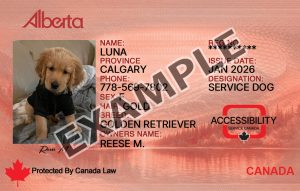 Alberta Dog Registration Card