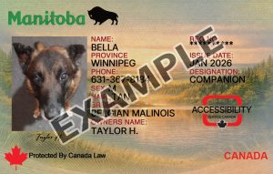 Manitoba Dog Registration Card