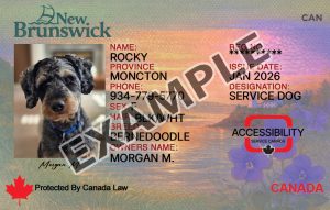 New Brunswick Dog Registration Card
