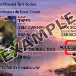 Northwest Territories Dog Registration Card