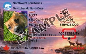Northwest Territories Dog Registration Card