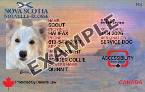 Nova Scotia Dog Registration Card