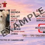 Nunavut Dog Registration Card