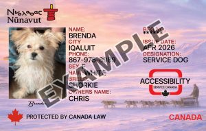 Nunavut Dog Registration Card