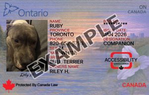 Ontario Dog Registration Card