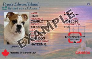 Prince Edward Island Dog Registration Card
