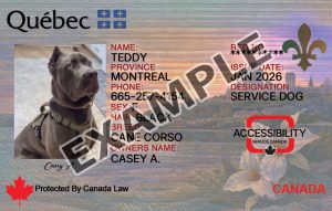 Quebec Dog Registration Card