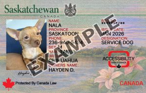 Saskatchewan Dog Registration Card