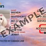 Yukon Dog Registration Card