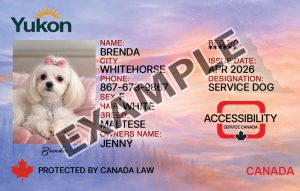 Yukon Dog Registration Card